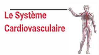 Le système cardiovasculaire [upl. by Sulrac]