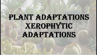 Plant Adaptations  Xerophytic Adaptations HPU BSc 1st year [upl. by Osana]