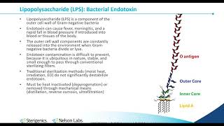 Bacterial Endotoxin Testing History InhibitionEnhancement and Process Control [upl. by Intyrb]