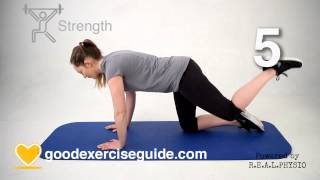 10 Best Exercises for Hip Arthritis Full Physio Sequence [upl. by Kapor]