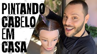 COMO PINTAR O CABELO EM CASA DICA PROFISSIONAL [upl. by Jago773]