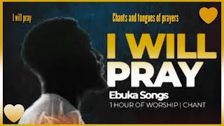 Ebuka Songs  I Will Pray lyrical [upl. by Acissev]