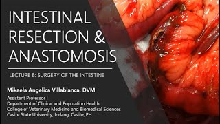 Intestinal Obstruction I  Strangulated Hernia  Acute Intussusception  TRAILER [upl. by Alletsyrc]