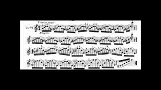 Caprice 24  Paganini  Kreisler [upl. by Squier528]