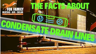 The Facts About AC Condensate Drain Lines [upl. by Oeht]