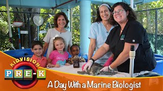 A Day With Marine Biologists  Virtual Field Trip  KidVision PreK [upl. by Shriner529]