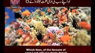 Surah Ar Rehman n° 55 Urdu amp English Translate By Qtv [upl. by Corilla]