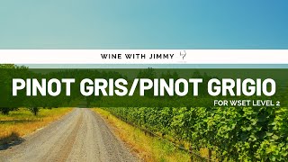 Key Grape Varieties  Pinot GrisPinot Grigio Beginners Version for WSET Level 1 and WSET Level 2 [upl. by Aisatan]