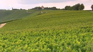 WineProducing Regions  Mosel Pfalz and Franconia  Discover Germany [upl. by Ynitsed116]