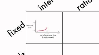 Learning Schedules of Reinforcement [upl. by Panthea]