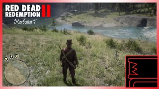 Red Dead Redemption 2 Herbalist 7 [upl. by Rodablas481]