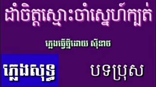 ដាំចិត្តស្មោះចាំស្នេហ៍ក្បត់ ភ្លេងសុទ្ធ ធ្វើដោយ ស៉ីនាថ ស្រួលច្រៀង [upl. by Riek]