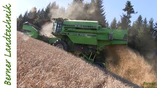 Der Kampf am Berg  Winterweizen dreschen  Getreideernte  wheat harvest [upl. by Adnwahs]