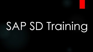 SAP ECC SD Training  Introduction to ERP and SAP SD Video 1  SAP SD Sales and Distribution [upl. by Rawna]