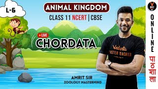 Chordata  Animal Kingdom  CBSE Class 11 Biology Chapter 4  NCERT Biology  NEET Biology [upl. by Clellan]