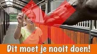 Doe dit NOOIT  PaardenpraatTV [upl. by Labina]