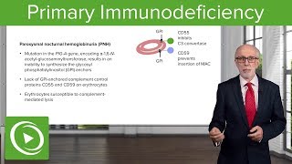 Primary Immunodeficiency – Immunology  Lecturio [upl. by Zamora264]