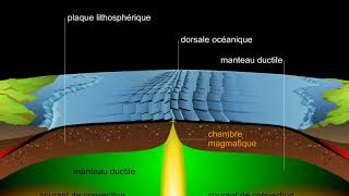 Expansion des fonds océaniques [upl. by Ober318]