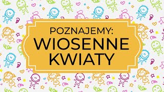 Edukacja zdalna  Poznajemy WIOSENNE KWIATY [upl. by Middleton]