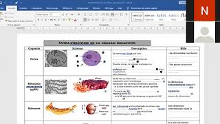l ultrastructure de la cellule eucaryote [upl. by Adnirim136]
