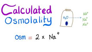 Calculated Osmolality [upl. by Hulton]