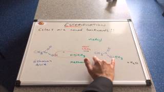 Esterification [upl. by Eelaras]