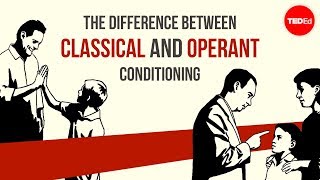 The difference between classical and operant conditioning  Peggy Andover [upl. by Crompton493]