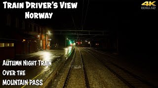 4K CABVIEW Autumn Night Train on the Bergen Line [upl. by Libre]