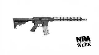 NRA Gun of the Week DelTon Sierra 316L MLok [upl. by Shamma646]