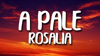 ROSALÍA  A Palé Letra [upl. by Oicam]