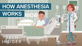 Basics of Anesthesia  An introduction to Anesthesiology [upl. by Thompson512]