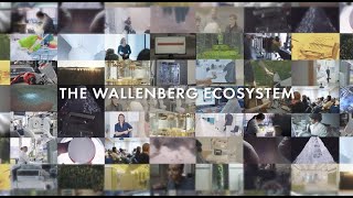 Wallenberg Ecosystem [upl. by Tabbie563]