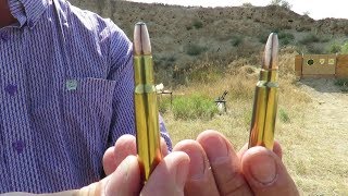 3030 Winchester vs 300 Savage [upl. by Rosenbaum411]