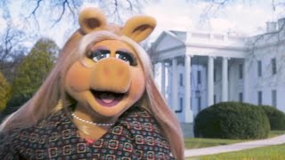 Miss Piggy Goes To Washington  The Muppets [upl. by Naujat578]