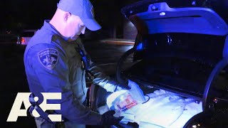 Live PD Top 5 Busts  AampE [upl. by Morty]