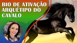 🔹 ARQUÉTIPO DO CAVALO  ANIMAL DE PODER  BIOKINESIS PARA PODER PESSOAL CORAGEM E DIREÇÃO  417Hz 🔹 [upl. by Inajar]