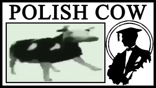 Why Dancing Polish Cow Is Great [upl. by Ramyaj]