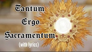 Tantum ergo Sacramentum lyrics Holy Hour HymnEucharistic Adoration Chant Catholic [upl. by Vivl]