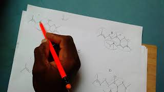 How to identify a Terpene and its isoprene units [upl. by Katlaps735]