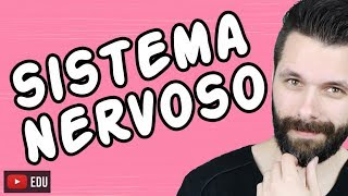 SISTEMA NERVOSO  FISIOLOGIA  Aula  Biologia com Samuel Cunha [upl. by Marashio]