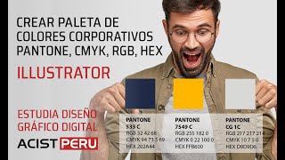 Cómo crear paleta de colores corporativos y obtener el color pantone cmyk rgb en illustrator 2021 [upl. by Hawk]