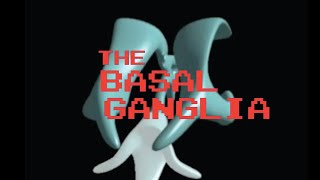 Neuroanatomy The Basal Ganglia [upl. by Katina]