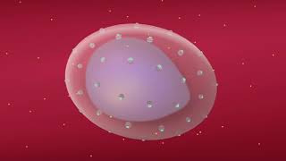 Understanding How Malaria Parasites Take Over Human Red Blood Cells [upl. by Arremat663]