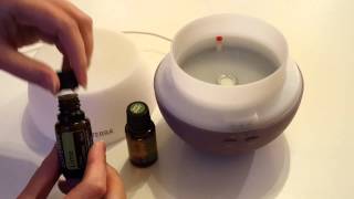 How to use a diffuser for your Essential Oils [upl. by Irod]