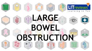 Large Bowel Obstruction [upl. by Eilyw]