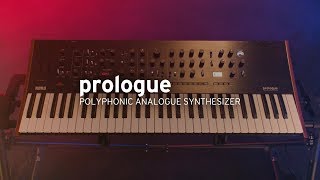 KORG prologue  Teaser Trailer [upl. by Suchta910]