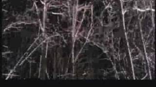 Wendigo Trailer 2001 [upl. by Jabe]