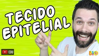 TECIDO EPITELIAL  HISTOLOGIA  Aula  Biologia com Samuel Cunha [upl. by Esor839]