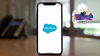 Salesforce Mobile App Demo [upl. by Ymer]