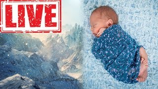 LIVE 🔴 Biały szum  ZAMIECI ŚNIEŻNEJ ❄❄❄ [upl. by Yuji]